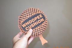 www.diary.mathieuroquigny.com