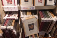 www.diary.mathieuroquigny.com