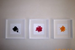 www.diary.mathieuroquigny.com