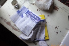 www.diary.mathieuroquigny.com