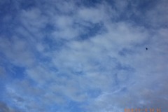 G0079625
