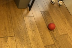 IMG_3845