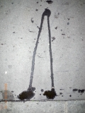 G0079713