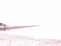 R1029540