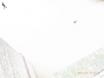 Exif_JPEG_PICTURE