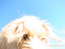 www.diary.mathieuroquigny.com