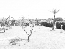www.diary.mathieuroquigny.com