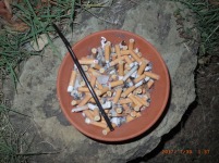 www.diary.mathieuroquigny.com