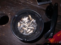 www.diary.mathieuroquigny.com
