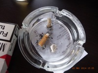 www.diary.mathieuroquigny.com