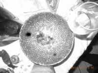 www.diary.mathieuroquigny.com