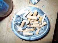 www.diary.mathieuroquigny.com