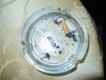 www.diary.mathieuroquigny.com