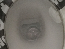 G0077981