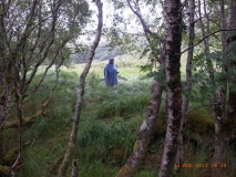 www.diary.mathieuroquigny.com