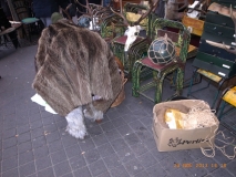 www.diary.mathieuroquigny.com