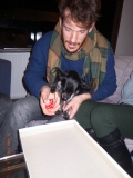 www.diary.mathieuroquigny.com