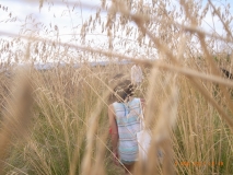 www.diary.mathieuroquigny.com
