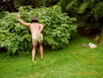 www.diary.mathieuroquigny.com