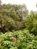 www.diary.mathieuroquigny.com