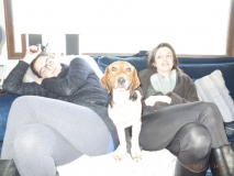 www.diary.mathieuroquigny.com