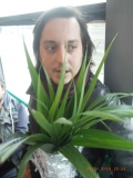 www.diary.mathieuroquigny.com