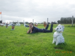 www.diary.mathieuroquigny.com