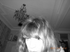 www.diary.mathieuroquigny.com