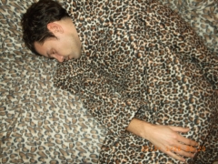 mathieu roquigny