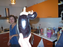 www.diary.mathieuroquigny.com