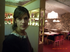 www.diary.mathieuroquigny.com