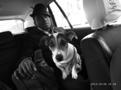 www.diary.mathieuroquigny.com