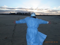 www.diary.mathieuroquigny.com