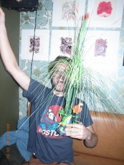 www.diary.mathieuroquigny.com