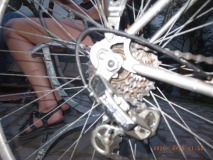 R1251590