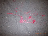 www.diary.mathieuroquigny.com