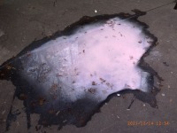 R1259217