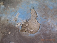 R1259856