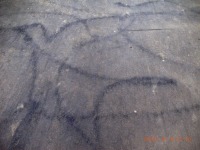 R1260080
