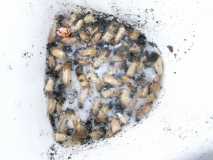 R0015060