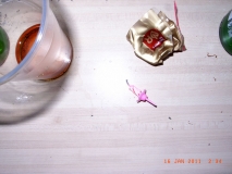 R1027295