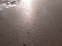 R1072225