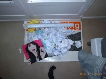 www.diary.mathieuroquigny.com