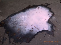 R1259217
