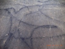 R1260080