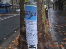 G0079870