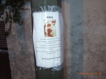 G0079969