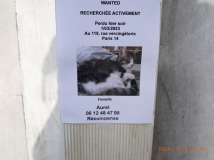 R272464