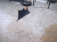 R1260225
