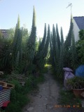 www.diary.mathieuroquigny.com